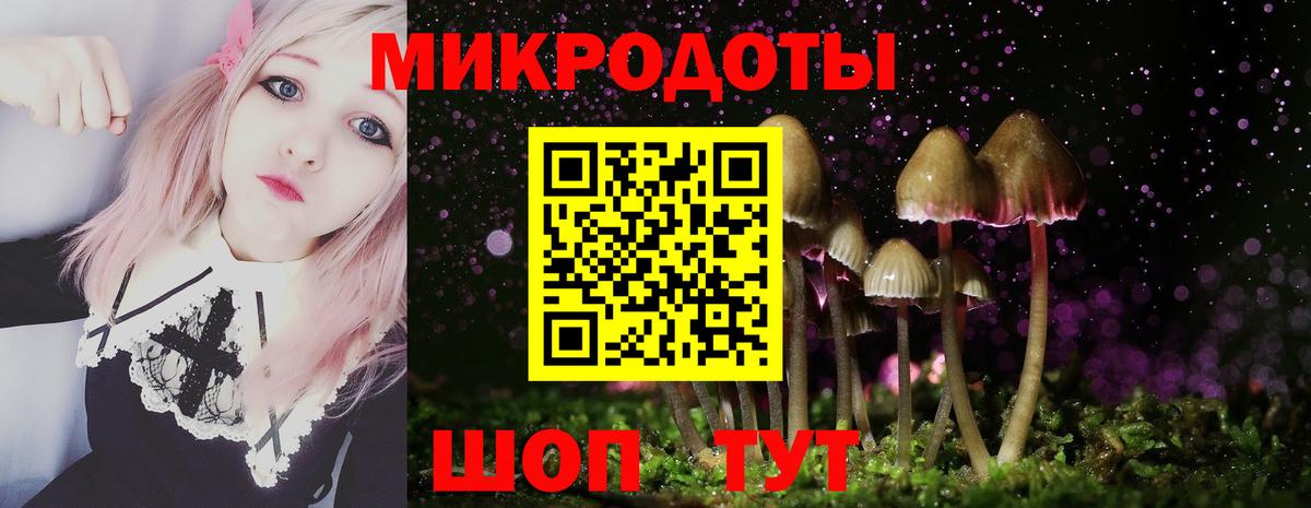 Псилоцибиновые грибы мухоморы Всеволожск