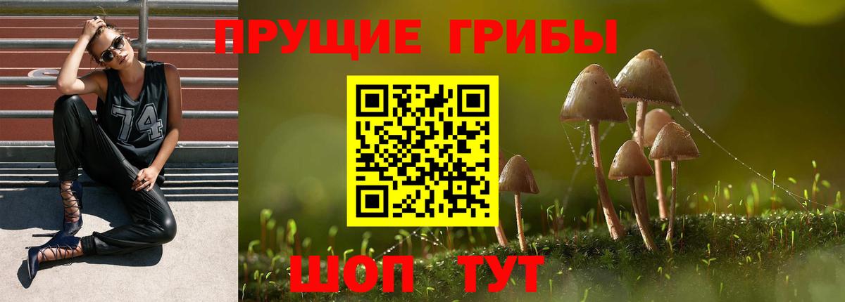 Всеволожск  Галлюциногенные грибы мицелий  Вход с VPN 